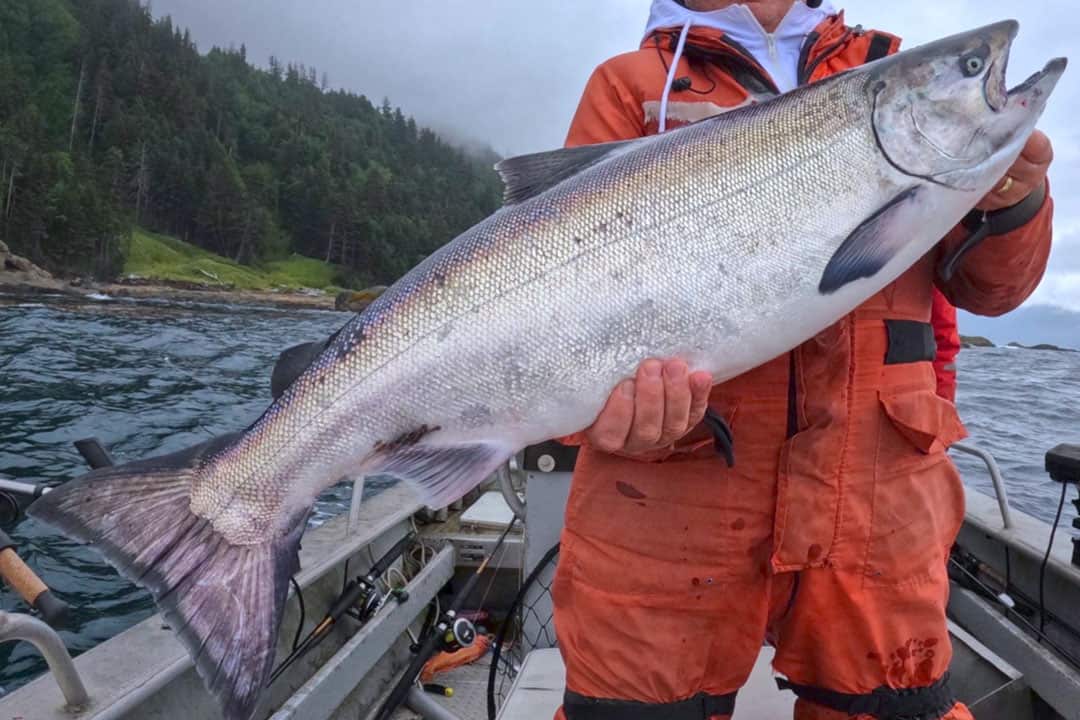 Orange coveralls hold a large silver fish on the river boat