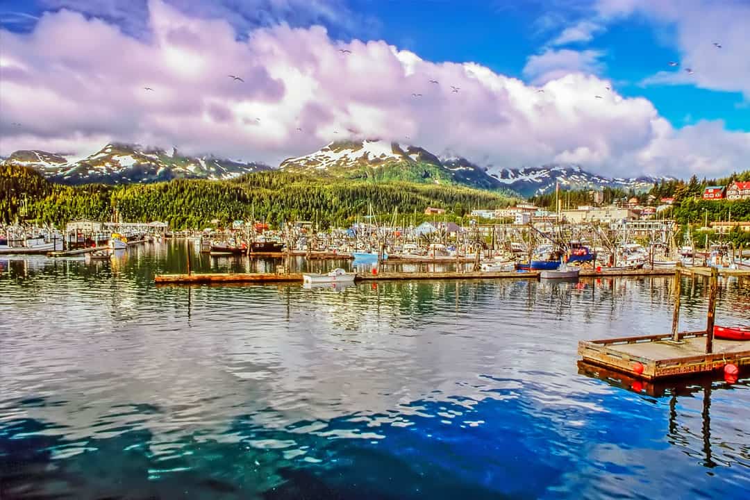 brilliant blue skies and water reflect a flock of fishing boats docked in front of the evergreen hills
